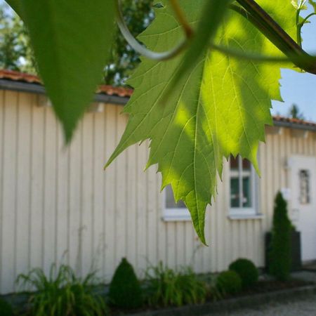 Gästehaus Gaumenflug am See Günzburg Exterior foto