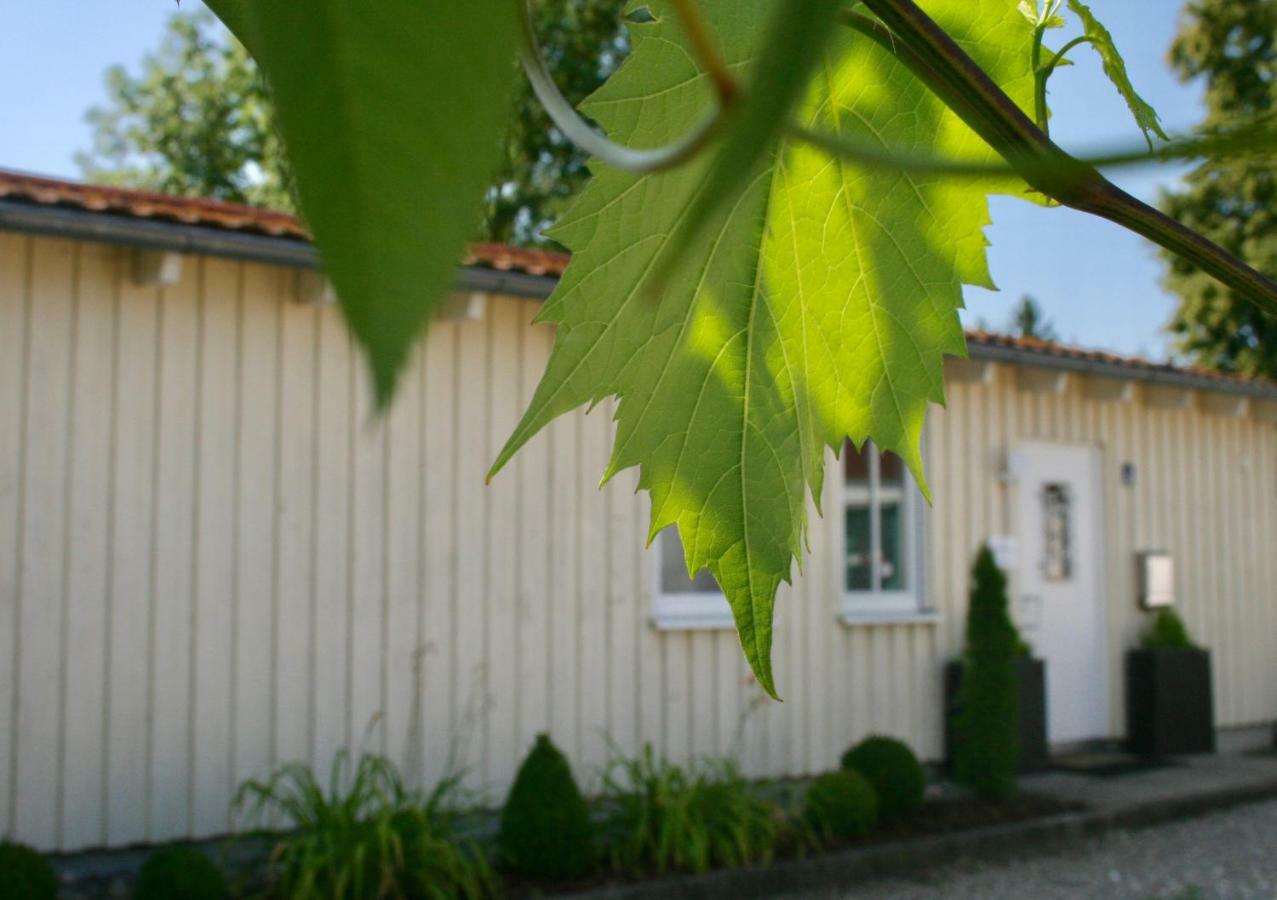 Gästehaus Gaumenflug am See Günzburg Exterior foto